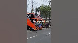 bus telolet dangdut koplo#