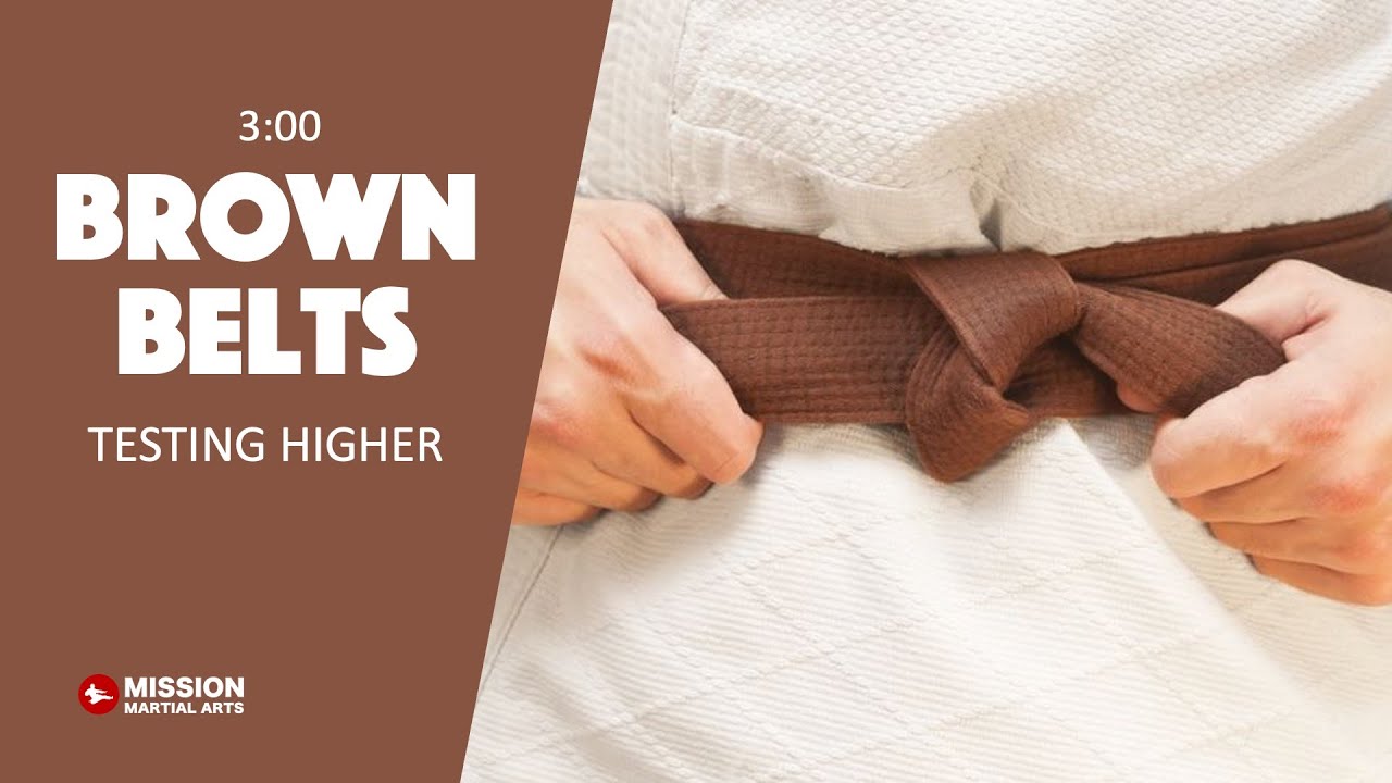 Rank Test BROWN BELTS YouTube