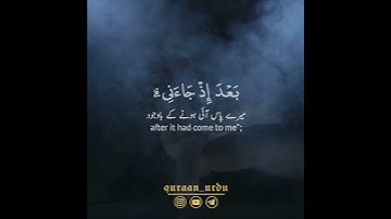 📜يا ويلتى ليتني لم أتخذ فلانا خليلا 🍂 أحمد خضر|سورة الفرقان: ٢٧-٢٩|Surah Al Furqan:27-29|Ahmed Khedr