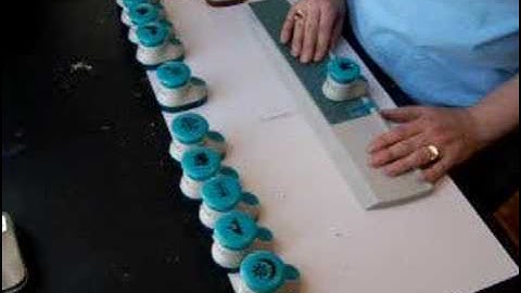 Tonic Border Punch System #2