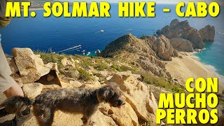 Player Profile Hike with Dogs to a Mountain Top Overlooking the Sea