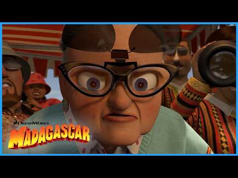 Don't Mess With Grandma!🥊👵 | DreamWorks Madagascar