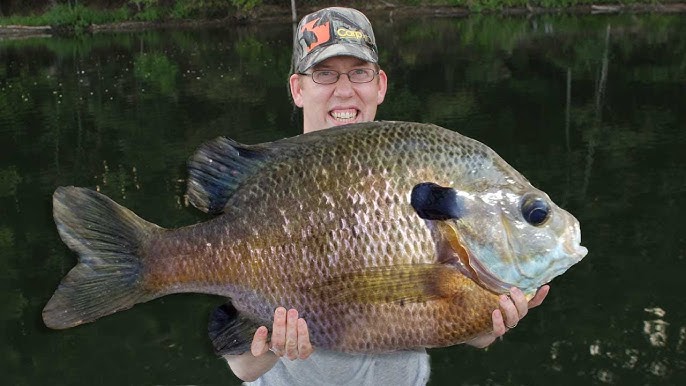 Friendship and a little bluegill fishing - making memories 🎣  @zack_mckenzieee with his Grandfathers Zebco 33. Things that withstand t