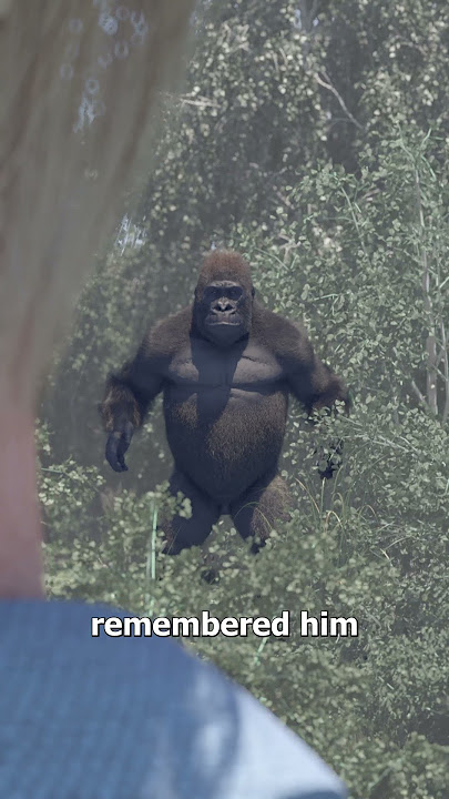Gorilla Reunites With Friend After 5 Years 🥲