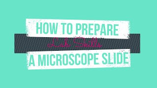 How to Prepare a Microscope Slide (Onion and Cheek Cell)