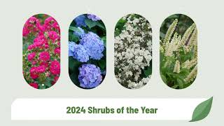 Our 2024 Shrubs of the Year