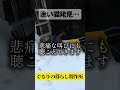 迷い猫発見【ぐるりの暮らし製作所】#エコビレッジライフ体験塾 #農ある暮らし #ねこのいる暮らし #ねこのいる生活