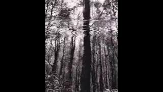 Silent - Ardy Bolank