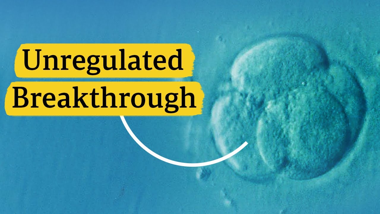 The Research Dilemmas of Artificial Embryos