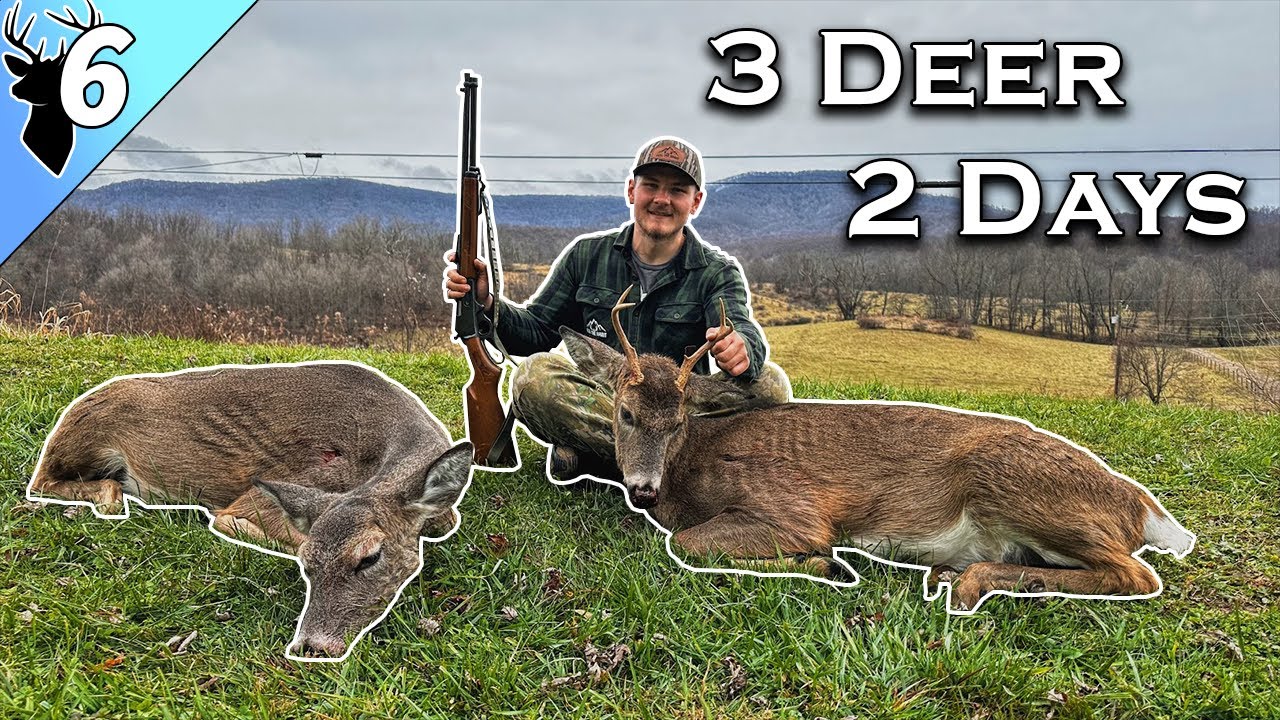 3 Deer in 2 DAYS?? Deer Hunting in Virginia (4 Killshots) YouTube