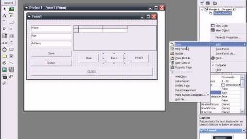 VB6 creation of Database w/ using Datareport and Dataenvironment