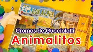 Pegando cromos animalitos | Amici Cucciolotti