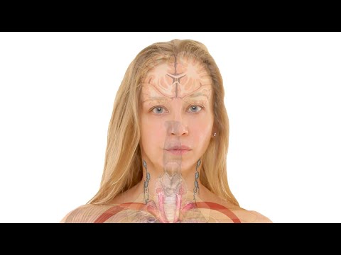 Vídeo: Decisión Difícil. Encontró Un Cuerpo Desfigurando Una Fuente De Eterna Juventud - Vista Alternativa