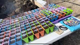 Bootstrap Farmer seed trays #bootstrapfarmer #gardening #survivalseeds2024 #homestead #gardener