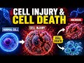 Overview of Cell Injury and Cell Death | Necrosis vs Apoptosis | Nazar Ali Khan