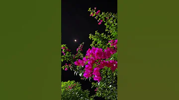 August 6 2025 