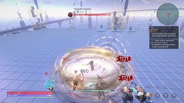 Skyforge Paladin training