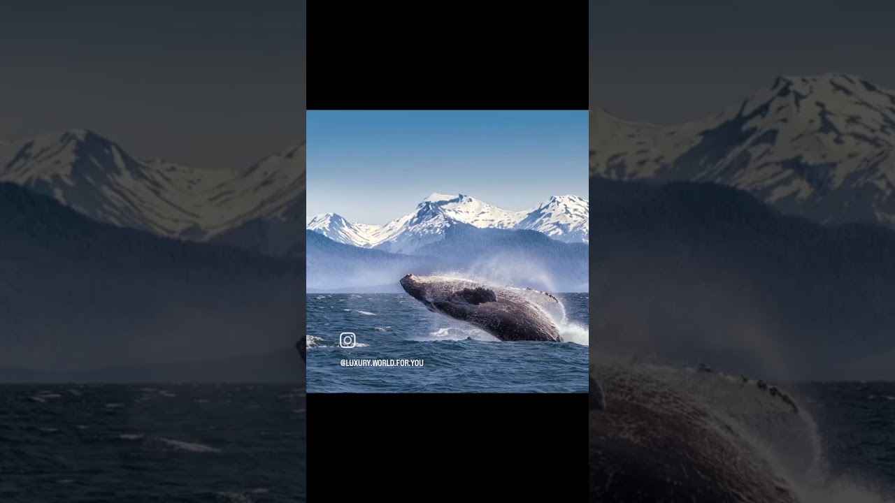 The Olive Retreat – Kodiak, Alaska Available for sale at Luxury World For You