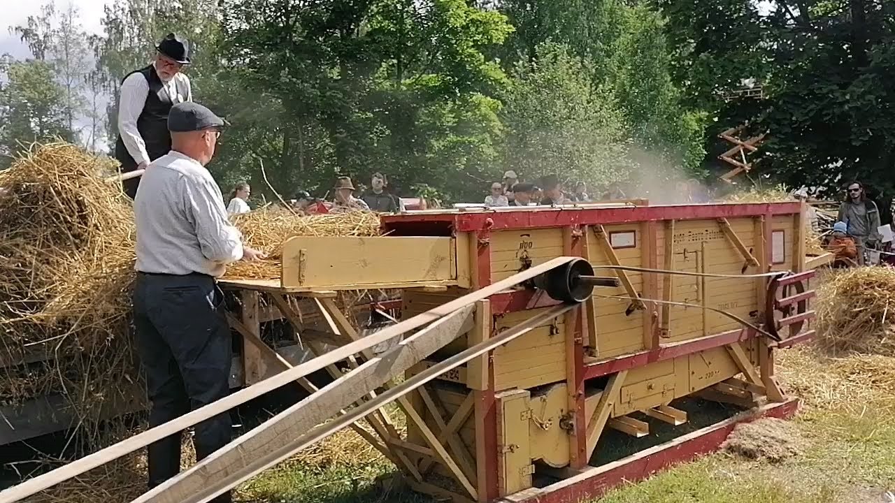 Puhoksen Perinnepäivät 2023; kauranpuintia ja halkojen tekoa 60 - luvun koneella
