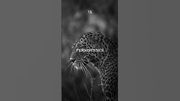 Stay Persistent and Keep Moving Forward #motivation #mindset #selfdevelopment #motivationalvideo