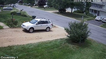 Dahua IP Cam Live Stream