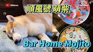 順風號|台南喫茶|Bar Home|庫馬的醋咪日常EP016|Tainan Tour ... 