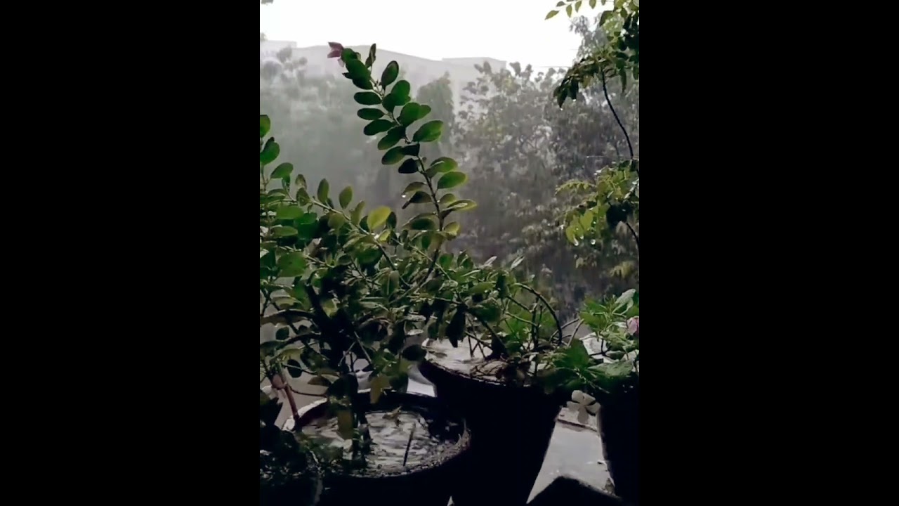 #mon2 # pehle bhi main #rain