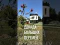 Приглашение на Мзианети в Сочи
