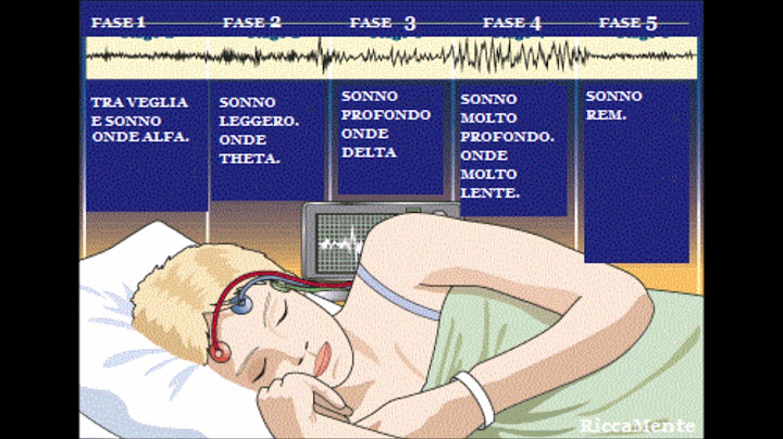 Cosa accade quando dormi :)