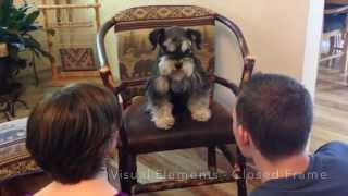 Famous COM 128 Videos (E. West) Profile