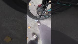 Labubu Durability Test