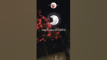 تلاوة خاشعة القارئ الشيخ ماهر المعيقلي #قرآن #المصحف #ماهر_المعيقلي #تلاوة_خاشعة
