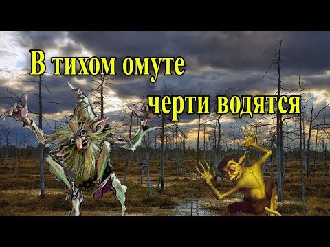 В тихом омуте черти водятся. Значение пословицы.