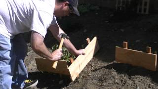 Last minute mini project - How to protect your plants from wind damage