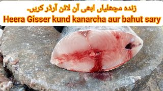 latest Fish rate update Karachi Fishery | Fish video |Fish Information | online Sea Food Supplier screenshot 4
