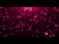 Pink Bubbles Background 01