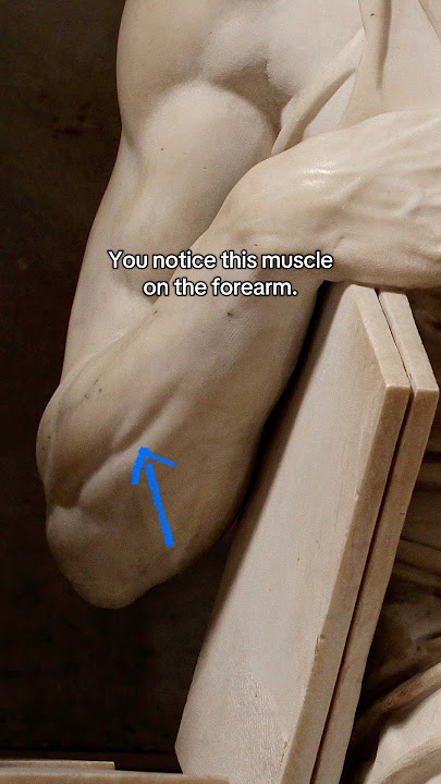 Michelangelo infused life into stone #history #art