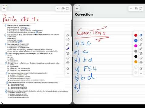 Révision 01 : Homme correction QCM