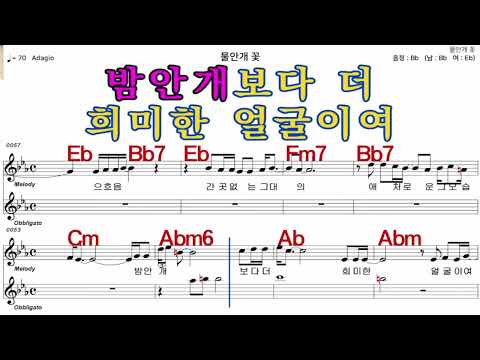 물안개꽃  조덕배   가수처럼 엠알로  악보  노래 하기  남 원키  Bb