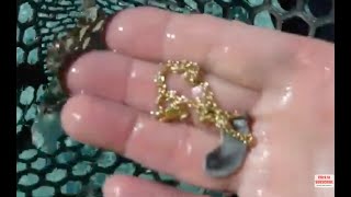 Download Lagu Caribbean Gold On The Last Day Of 2025! MP3