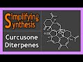 Total synthesis of the curcusone diterpenes