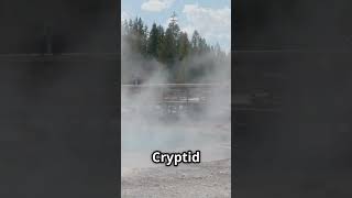 Dragon Mouth Springs #cryptids #facts #ghost #scary #yellowstone