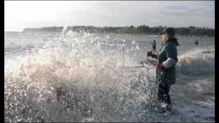 Struggling Fisheries of The Upper Cook Inlet