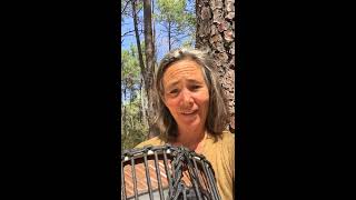 Ruth Phillips - The Breathing Bow