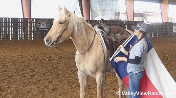 Hillbilly Butter - carrying the flag #1! - ValleyViewRanch.net