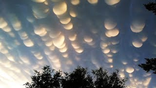 The 10 Basic Types of Clouds and How to Recognize Them