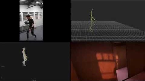 MoCap Video