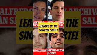 Los Chapitos: The Current Leaders of the Sinaloa Cartel 🇲🇽 #crime #facts #factshorts #mexico #usa