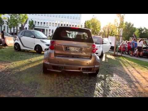 Wöhrder See smart Treffen 2014