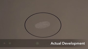 VMD fingerprint development